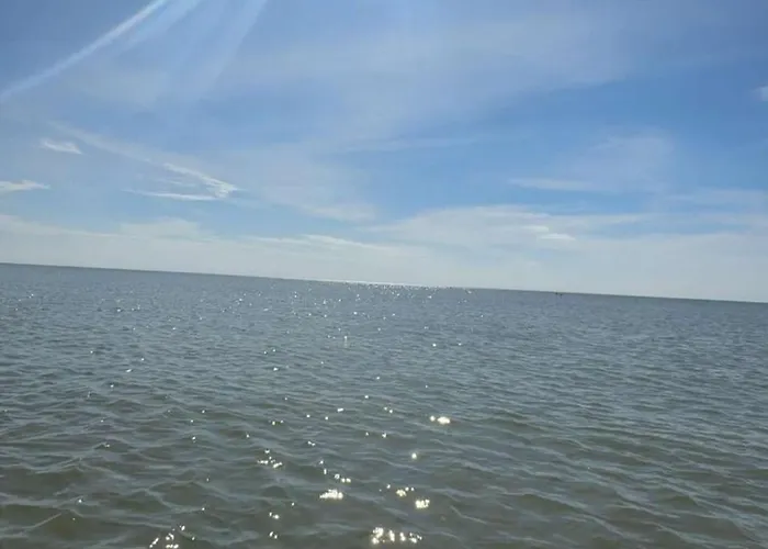 Au Des Colibris Hébergement de vacances *